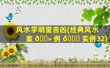 风水学明堂吉凶(经典风水案 🌻 例 🐒 实例32)